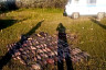 В Саратовской области у двух браконьеров изъяли 129 килограммов рыбы