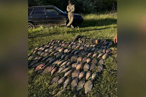 В Саратовской области у двух браконьеров изъяли 129 килограммов рыбы